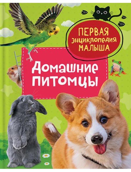 Домашние питомцы. Первая энциклопедия малыша