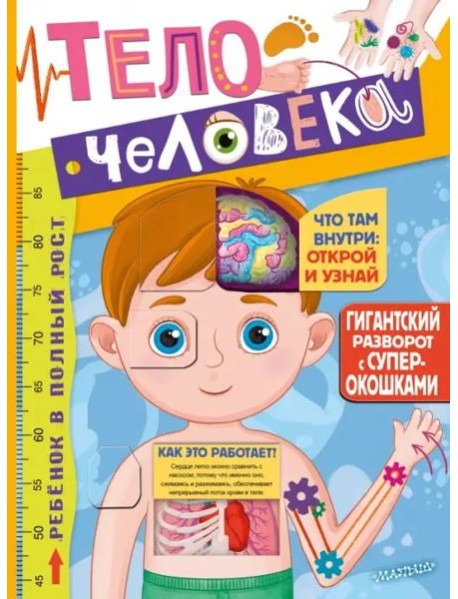 Тело человека