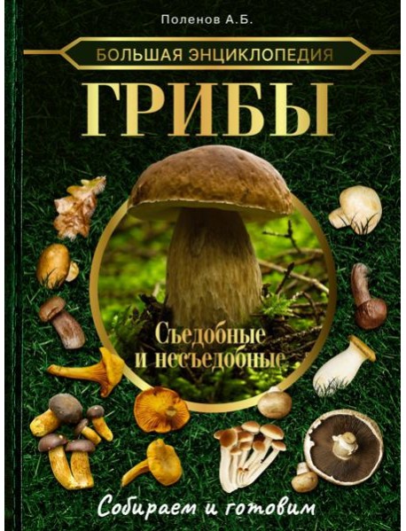 Большая энциклопедия. Грибы. Съедобные и несъедобные. Собираем и готовим