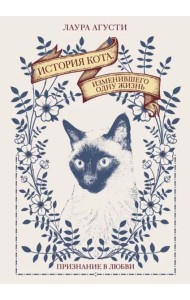 История кота, изменившего одну жизнь: Признание в любви