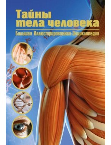 Тайны тела человека. Большая иллюстрированная энциклопедия