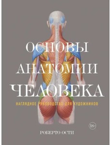 Основы анатомии человека: Наглядное руководство для художников Основы анатомии человека: Наглядное руководство для художников