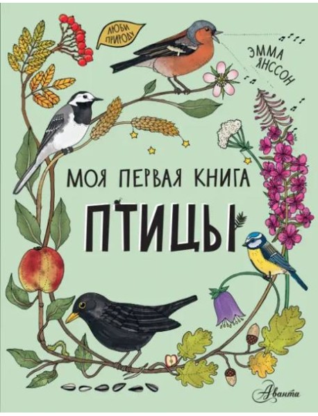 Птицы