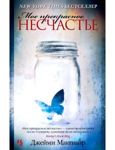 Мое прекрасное несчастье: роман