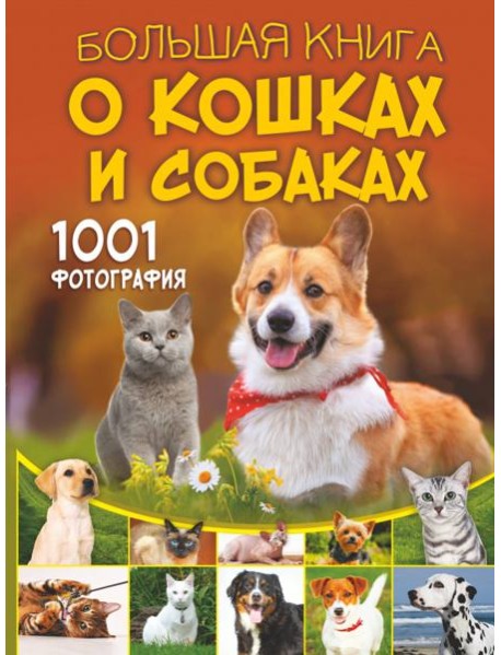 Большая книга о кошках и собаках. 1001 фотография