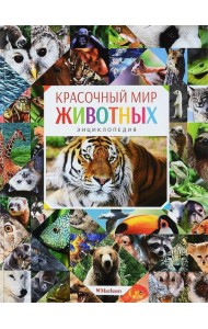 Красочный мир животных
