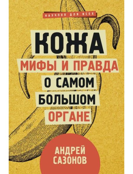 Кожа: мифы и правда о самом большом органе