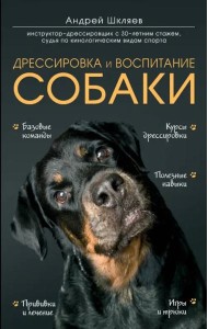 Дрессировка и воспитание собаки