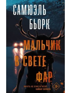Мальчик в свете фар