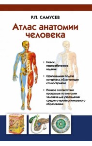 Атлас анатомии человека. Учебное пособие для студентов учреждений среднего профессионального образ