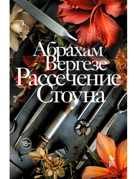 Рассечение Стоуна: роман