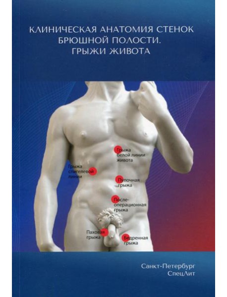 Клиническая анатомия стенок брюшной полости. Грыжи живота