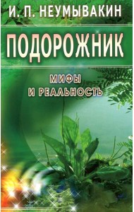 Подорожник. Мифы и реальность