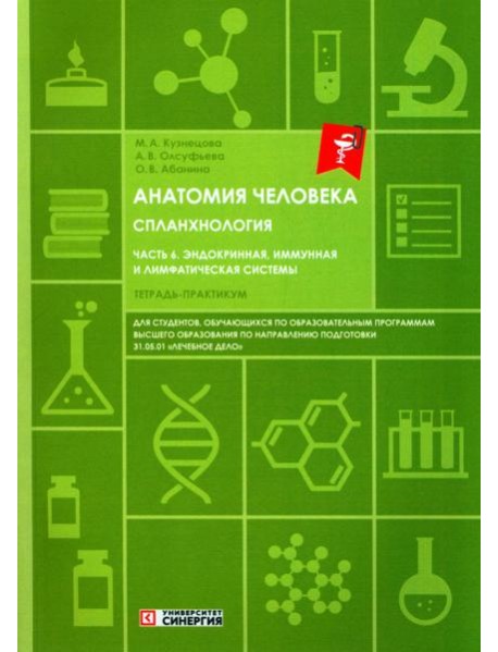 Анатомия человека: Спланхнология Ч. 6: Эндокринная система, иммунная и лимфатическая системы: Тетрадь-практикум