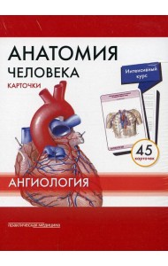 Анатомия человека: Карточки. (45шт). Ангиология