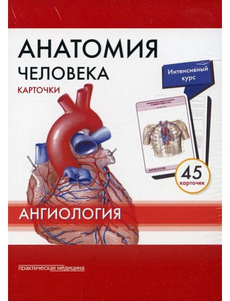 Анатомия человека: Карточки. (45шт). Ангиология