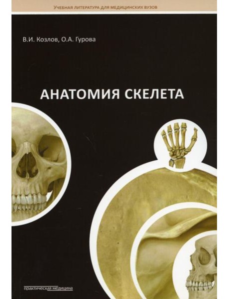 Анатомия скелета: Учебное пособие
