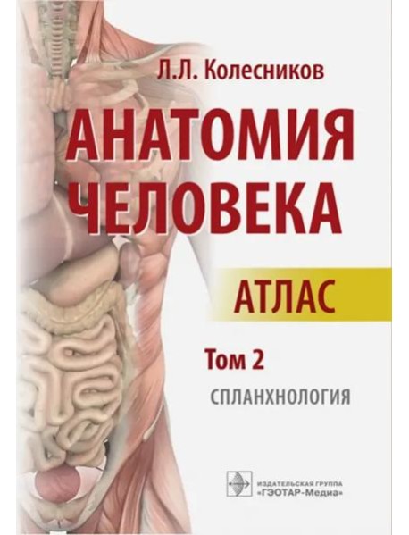 Анатомия человека: атлас: В 3 т. Т. 2. Спланхнология