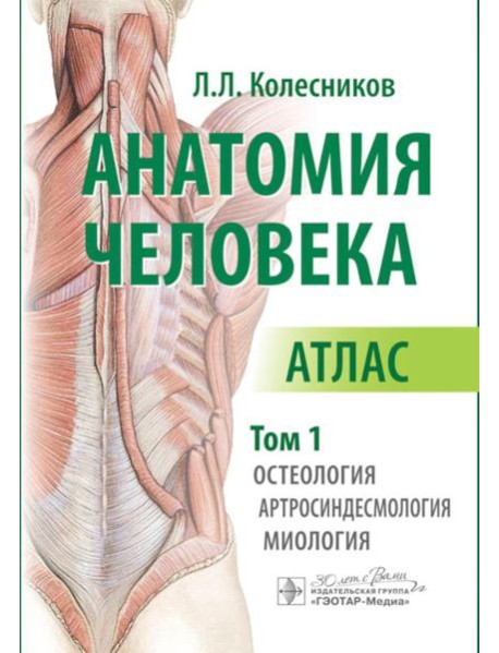 Анатомия человека. Атлас. В 3 т. Т. 1. Остеология, артросиндесмология, миология