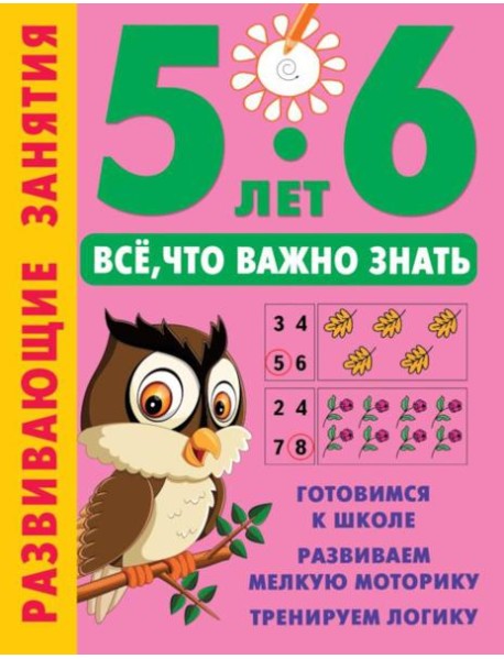 Развивающие занятия. Все, что важно знать. 5-6 лет