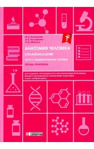 Анатомия человека: Спланхнология. Ч. 4. Пищеварительная система: тетрадь-практикум