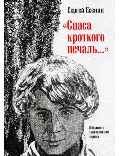 Спаса кроткого печаль…: Избранная православная лирика