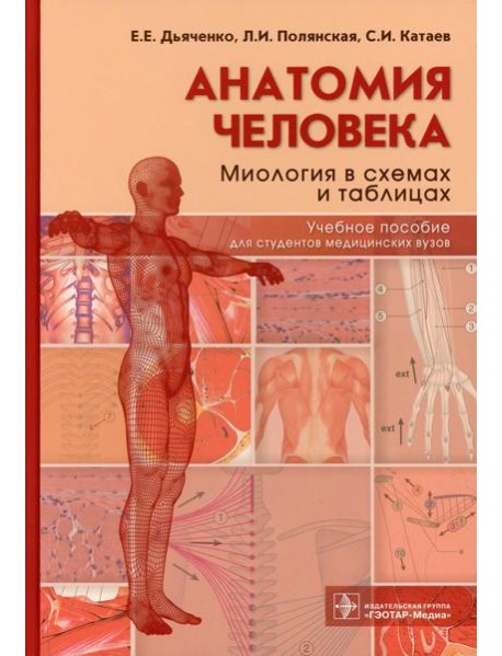 Анатомия человека: миология в схемах и таблицах: Учебное пособие