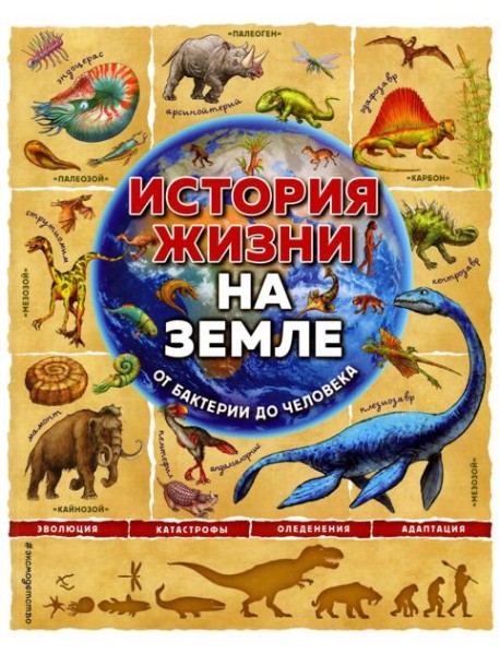 История жизни на Земле. От бактерии до человека