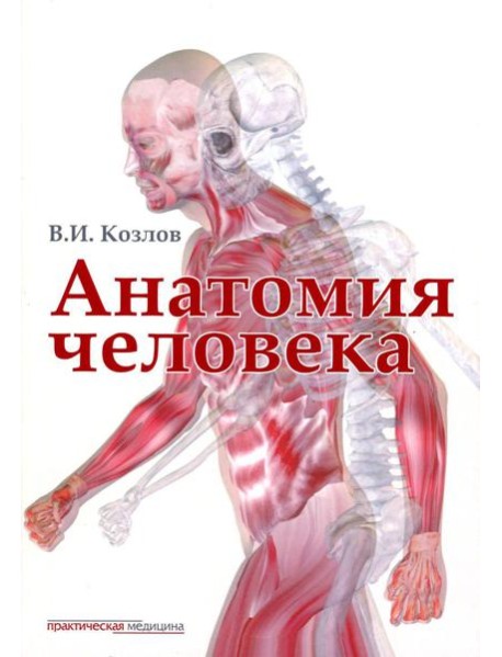 Анатомия человека: Учебник для медицинских вузов. 2-е изд., испр. и доп
