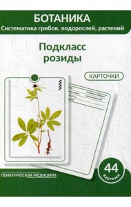 Ботаника. Систематика грибов, водорослей, растений. Подкласс розиды: Учебное пособие. (КАРТОЧКИ 44 шт.)