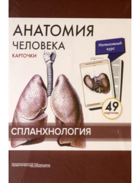Анатомия человека: карточки. (49 шт). Спланхнология