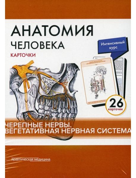 Анатомия человека: карточки. (26 шт). Черепные нервы. Вегетативная нервная система
