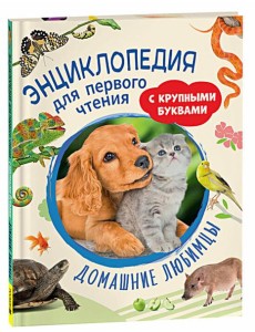Домашние любимцы Домашние любимцы