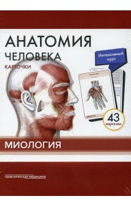 Анатомия человека: карточки (43 шт). Миология: Учебное пособие