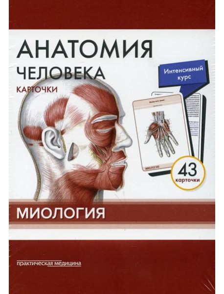 Анатомия человека: карточки (43 шт). Миология: Учебное пособие