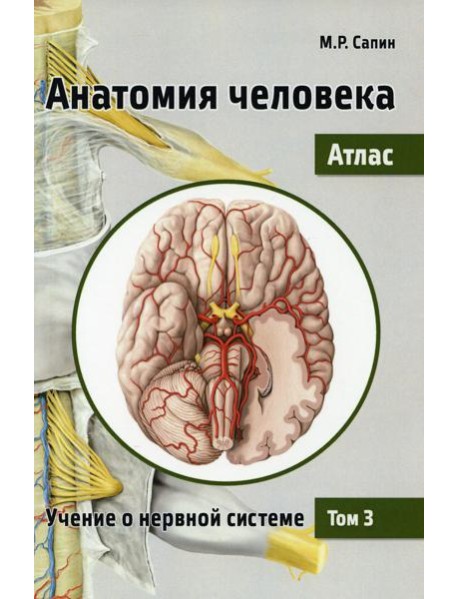 Анатомия человека. Атлас. В 3 т. Т. 3: Учение о нервной системе. 2-е изд., перераб