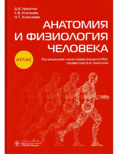 Анатомия и физиология человека: атлас