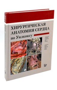 Хирургическая анатомия сердца по Уилкоксу