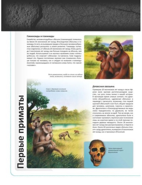 Человек в доисторические времена. Детская энциклопедия