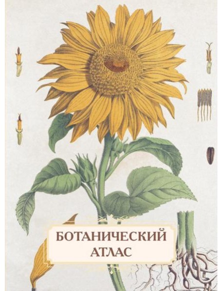 Ботанический атлас. Н.П. Животовский