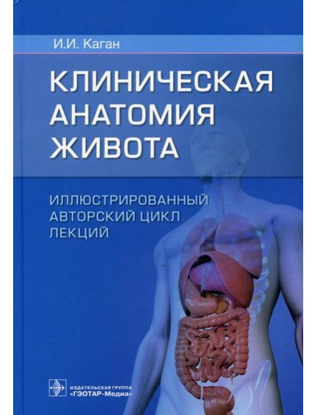 Клиническая анатомия живота. Иллюстрированный авторский цикл лекций