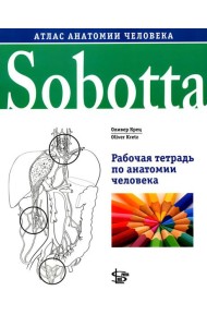 Sobotta. Рабочая тетрадь по анатомии человека