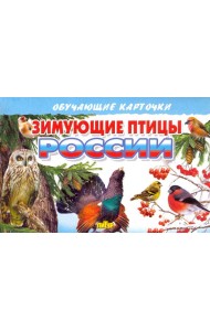 Зимующие птицы России