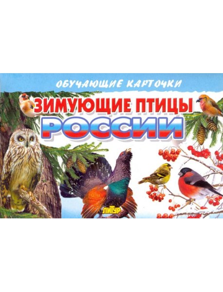 Зимующие птицы России