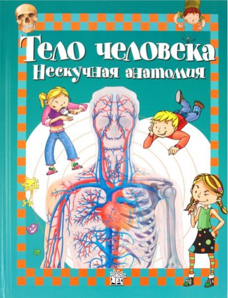 Тело человека. Нескучная анатомия