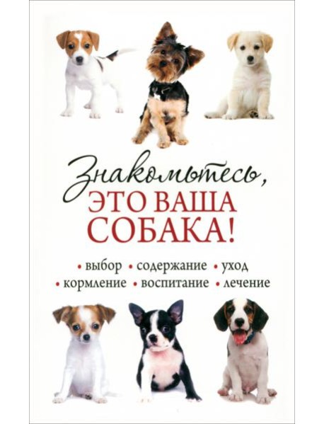 Знакомьтесь, это ваша собака!