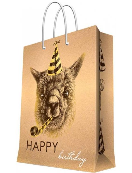 Пакет бумажный 17.8х22.9х9.8 Happy Birthday 83568