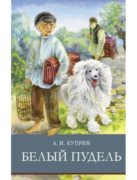 ШП. Белый пудель