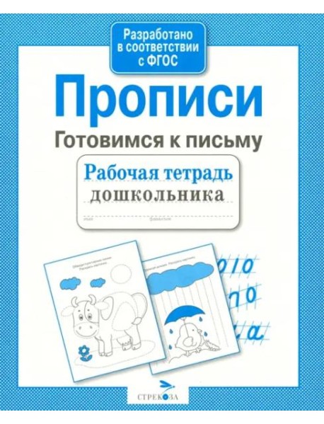 РабТетДошк Прописи Готовимся к письму