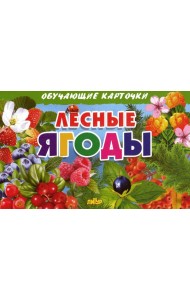 Лесные ягоды. Обучающие карточки